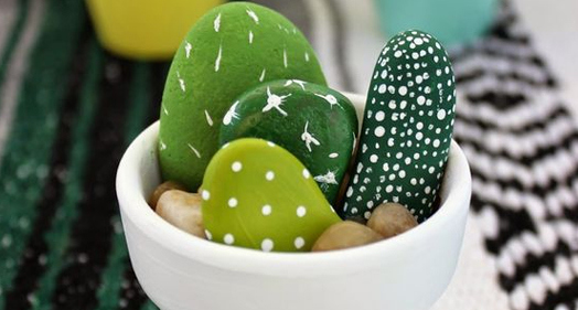cactus pedra